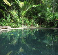 Daintree Rainforest Retreat Motel - Tourism Hervey Bay
