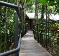 Daintree Wilderness Lodge - Hervey Bay Accommodation
