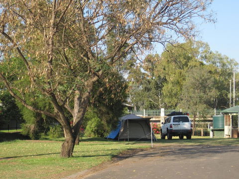 Dalby Tourist Park - Hervey Bay Accommodation 3