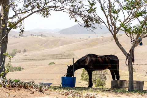 Dam It Getaway Tiny House - Hervey Bay Accommodation 1