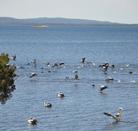 Denmark Waters BB - Tourism Hervey Bay