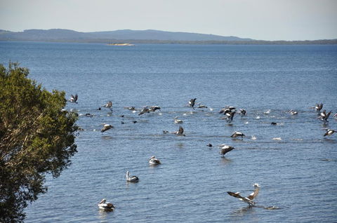 Denmark Waters B&B - Tourism Hervey Bay 0