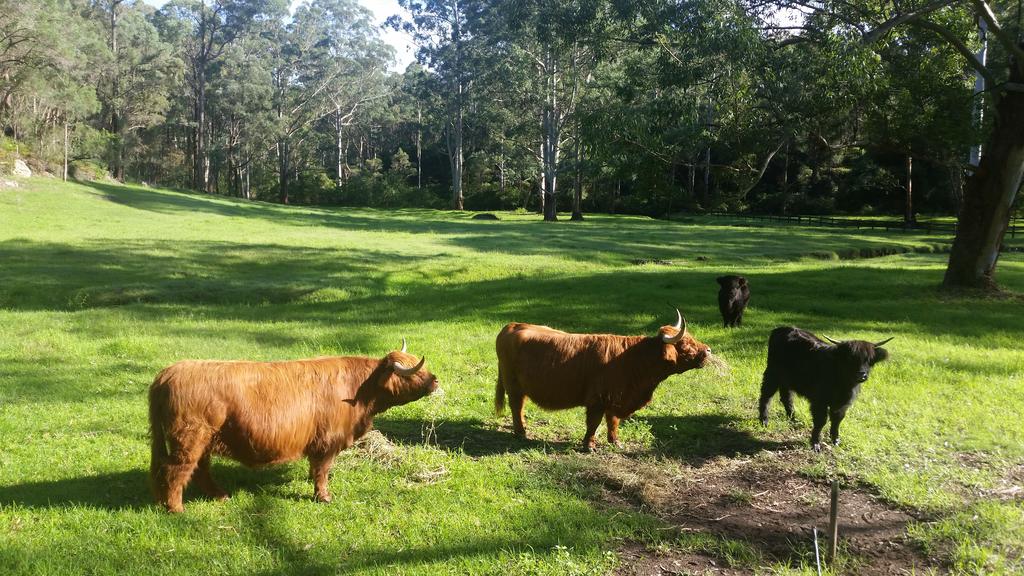 Glenhaven NSW Hervey Bay Accommodation
