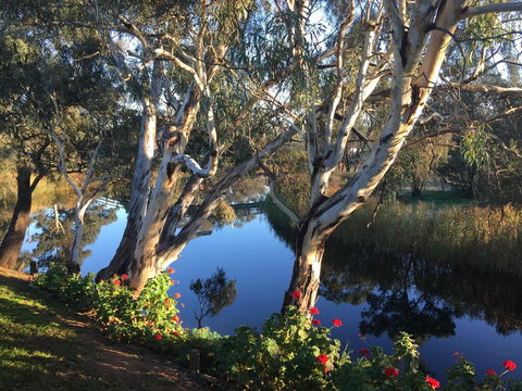 Donald Riverside Motel - Hervey Bay Accommodation 0
