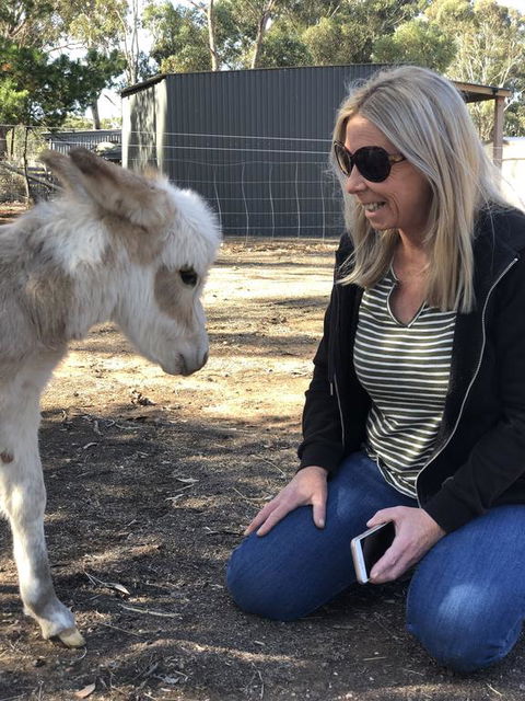 Donkey Tales Farm Cottages - Hervey Bay Accommodation 1