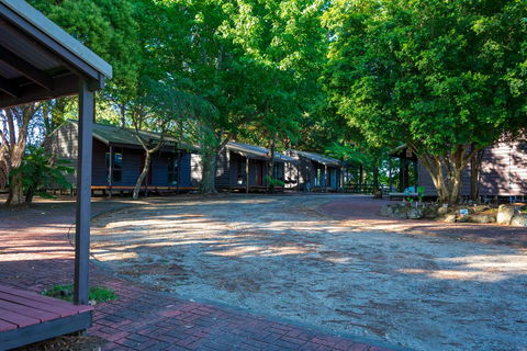 Dorrigo Mountain Holiday Park - Hervey Bay Accommodation 1
