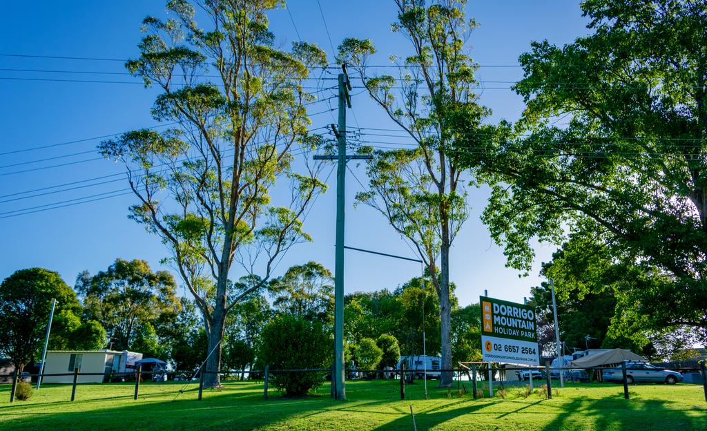 Dorrigo NSW Tourism Hervey Bay