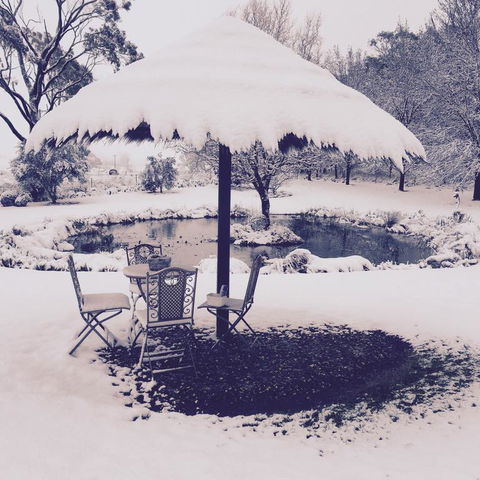 Drayshed Cottage - Hervey Bay Accommodation 3