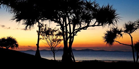 Driftwood Motel And Holiday Units - Hervey Bay Accommodation 2