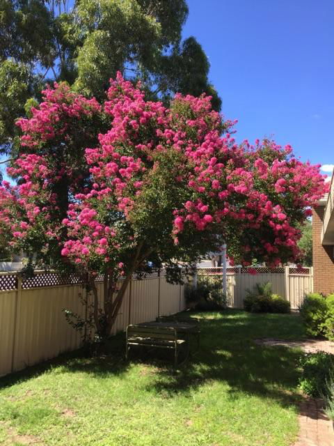 Eaglehawk Motel - Hervey Bay Accommodation 3