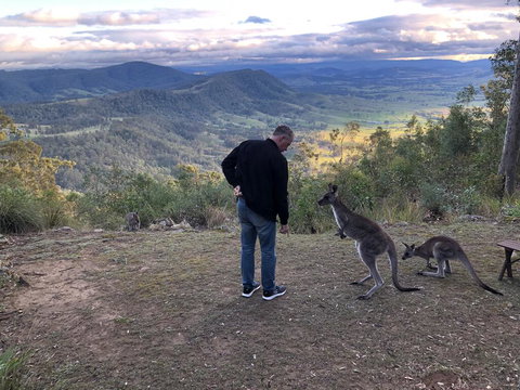 Eagleview Resort - Tourism Hervey Bay 2