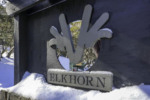 Elkhorn 11 - Hervey Bay Accommodation 2