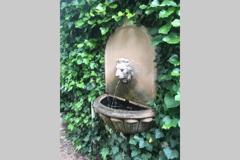 Elmswood BnB - Hervey Bay Accommodation 2