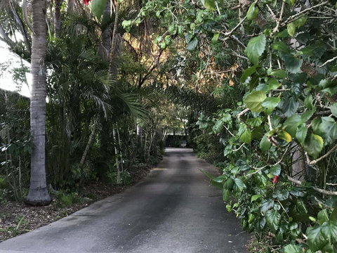 Emeraldene Inn & Eco-Lodge - Hervey Bay Accommodation 3