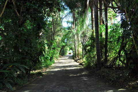 Emeraldene Inn & Eco-Lodge - Hervey Bay Accommodation 2