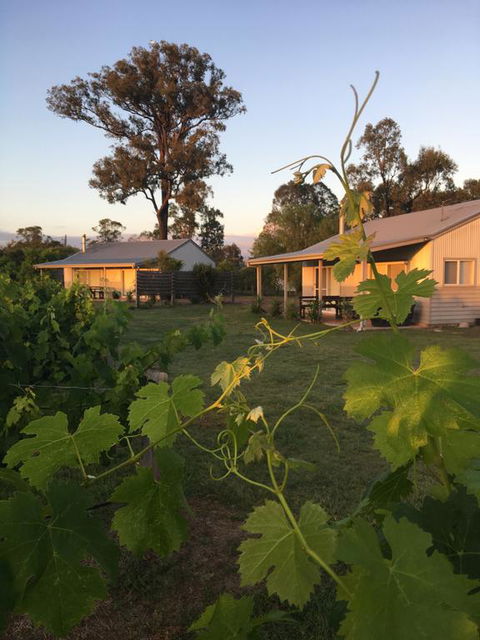 Emma's Cottage Vineyard - Hervey Bay Accommodation 3
