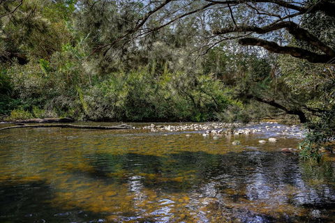 Equanimity - Beautiful Character Filled House! - Tourism Hervey Bay 3