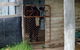 Escape To The Country - Enjoy The Firepit Or Explore Magical Bunya Mountains - thumb 3