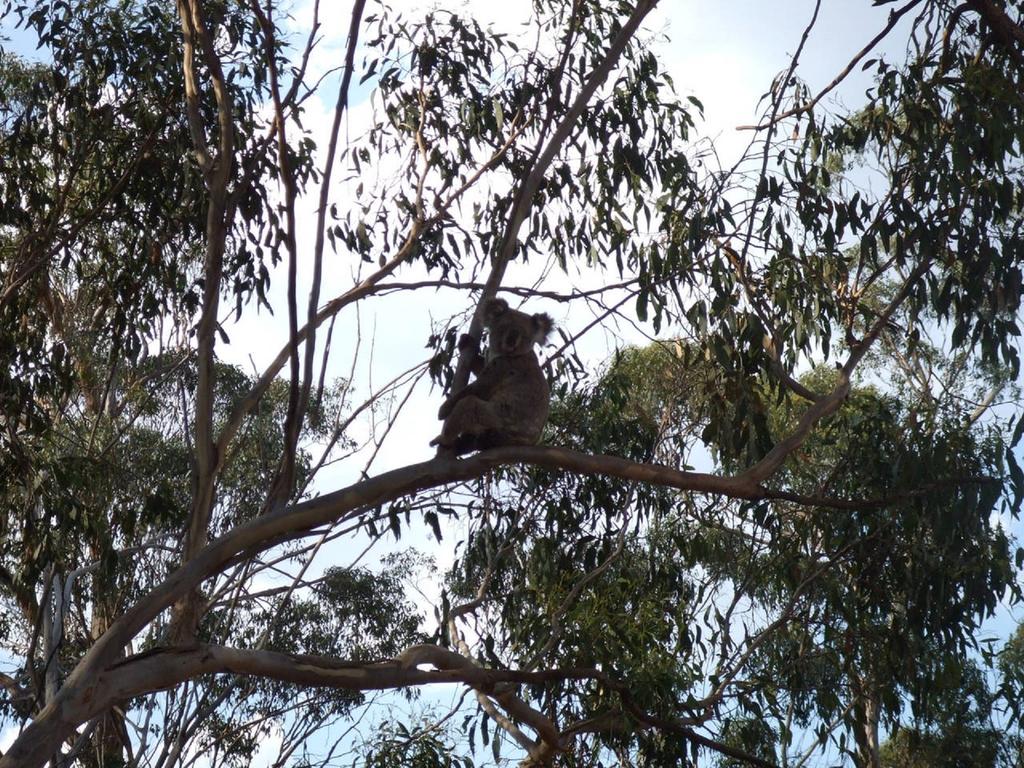 Kilbirnie QLD Hervey Bay Accommodation