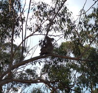 Escape to the Country - Enjoy the firepit or explore magical Bunya Mountains - Hervey Bay Accommodation