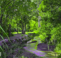 Esk Caravan Park  Rail Trail Motel - Hervey Bay Accommodation