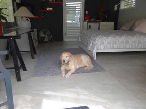 Eumundi Yacht Club B&B - Hervey Bay Accommodation 1