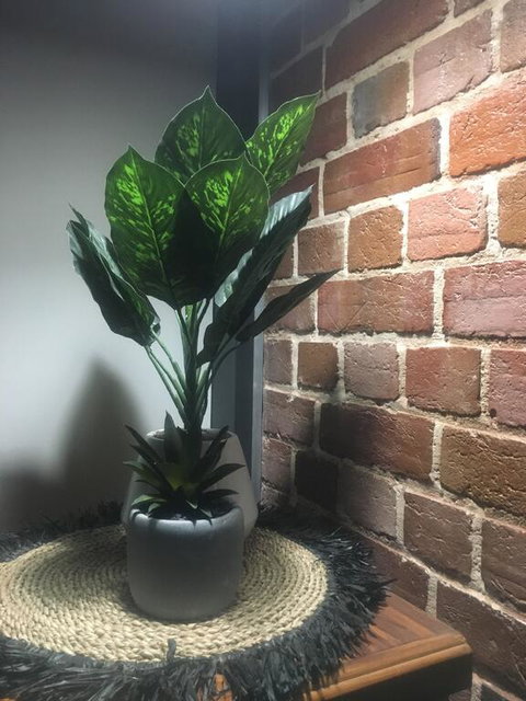 Executive Villa, Private 2 Bedroom In Ideal Location - Tourism Hervey Bay 3