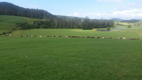Farm Golf - Tourism Hervey Bay 2