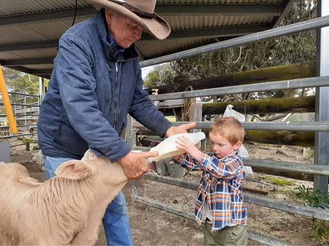 Fay's Cottage - Tourism Hervey Bay 2