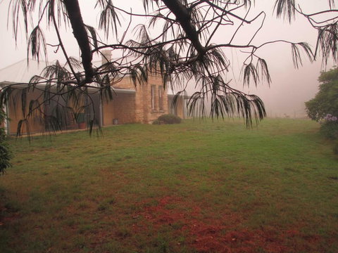 Ferndale B&B - Tourism Hervey Bay 1