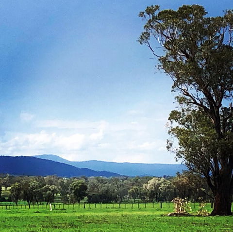 Fourjay Farmstay - Hervey Bay Accommodation 0