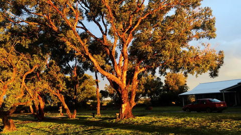 French Island Cottage - Hervey Bay Accommodation 1