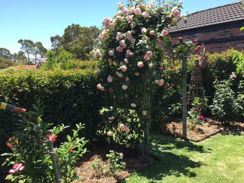 Garden Apartment - Tourism Hervey Bay 3