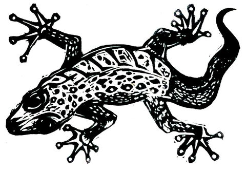 Gecko Guest House - Hervey Bay Accommodation 3