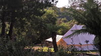 Book Zeehan Accommodation Vacations Hervey Bay Accommodation Hervey Bay Accommodation