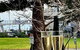 Glenelg Getaway 3 Bedroom Apartment - thumb 3