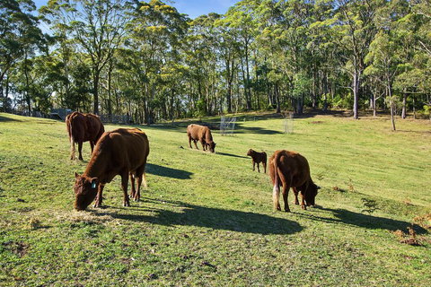 GOWAN ROSS COTTAGE - Hervey Bay Accommodation 1