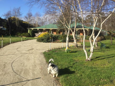 Green Gables B&B - Hervey Bay Accommodation 1