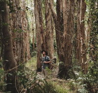 Habitat Noosa - Tourism Hervey Bay