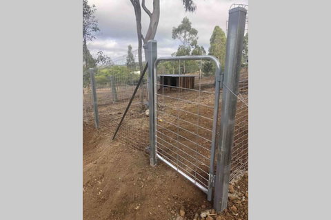 Hamblin - Tourism Hervey Bay 2