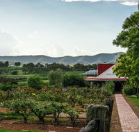 Hanging Tree Wines - Hervey Bay Accommodation