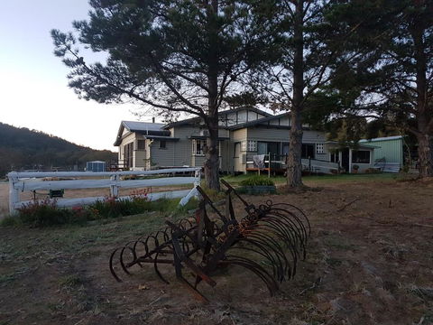 Happy Pig Farm - Hervey Bay Accommodation 2