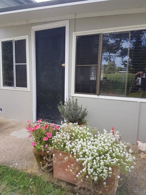 Happy Pig Farm - Hervey Bay Accommodation 3