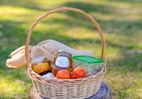 Book Wattamolla Accommodation Vacations Hervey Bay Accommodation Hervey Bay Accommodation