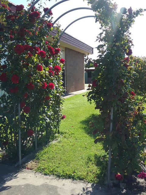 Heywood Motor Inn - Hervey Bay Accommodation 1