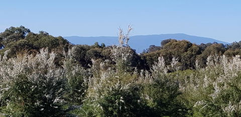 Hideaway Valley Farm - Hervey Bay Accommodation 1