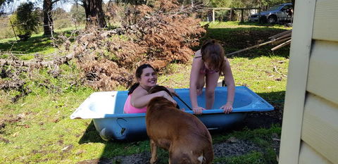 Hideaway Valley Farm - Hervey Bay Accommodation 3