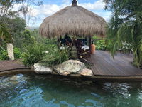 Book Maudsland Accommodation Vacations Hervey Bay Accommodation Hervey Bay Accommodation