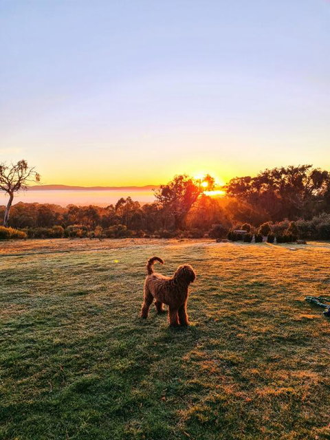 Horningsea - Tourism Hervey Bay 3