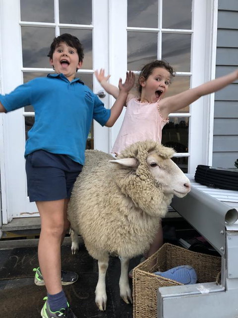 Jackaleah Farm Stay - Hervey Bay Accommodation 2